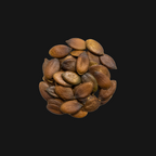 Organic Pumpkin Seeds — Shelled Pepitas, Unsalted